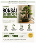 Bonsái en Interior (aunque tengas poca luz)