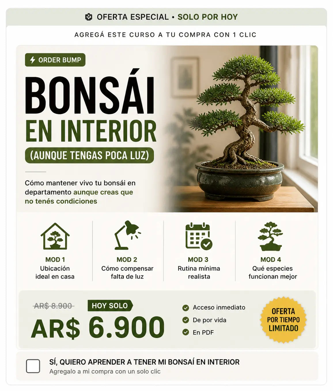 Bonsái en Interior (aunque tengas poca luz)